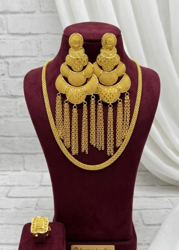 Modern Muse Earring set with chain necklace